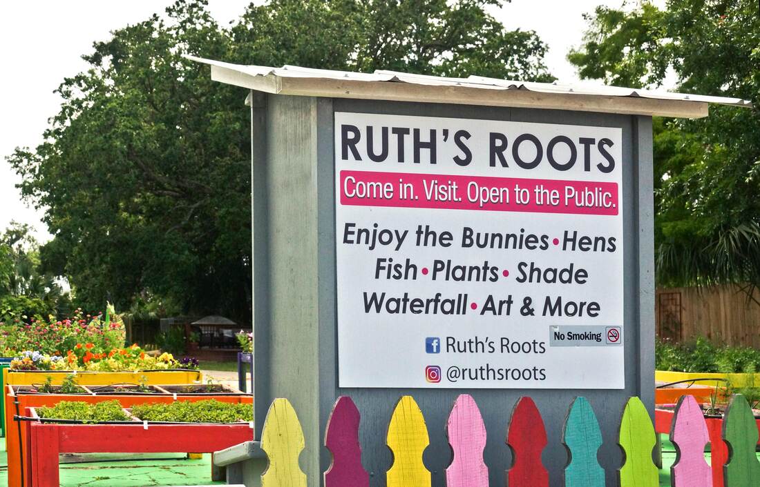 Ruth's Roots - The Shoofly Magazine