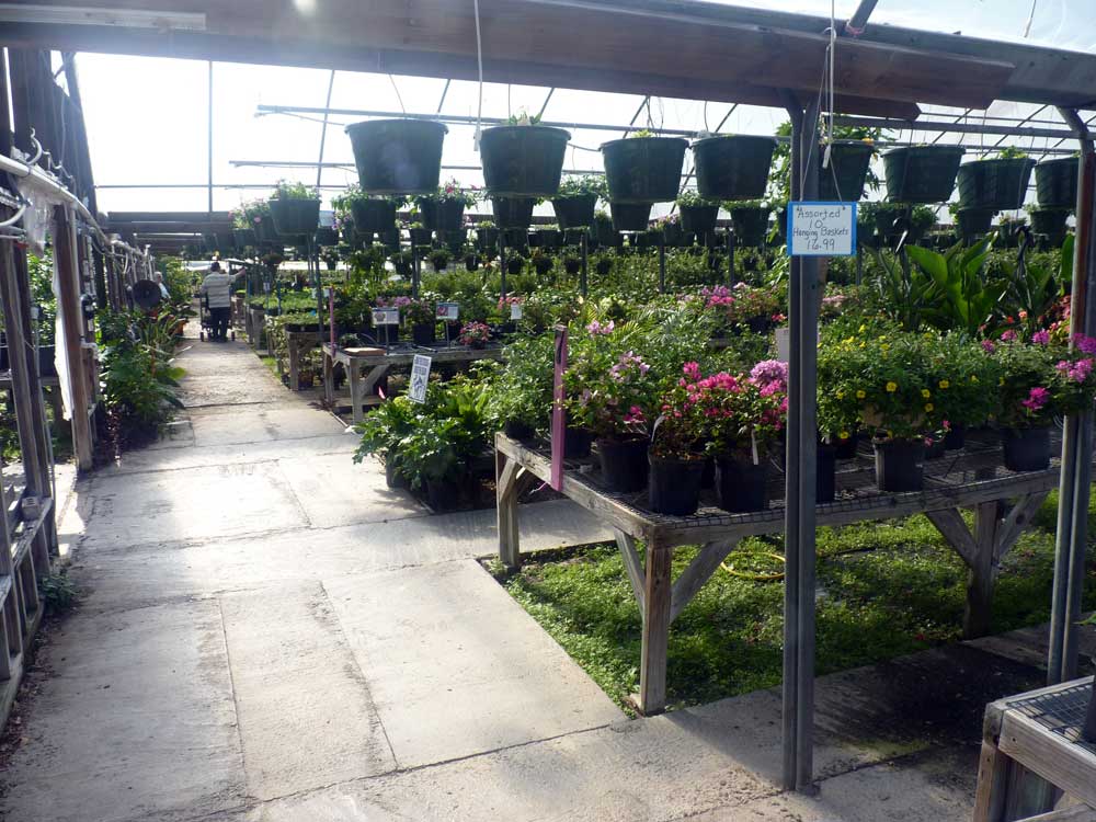 Garden Centers Blue Skies And Green Thumbs - The Shoofly Magazine